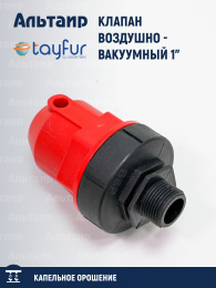 Клапан воздушно вакуумный 1" TYP-1003217 TAYFUR