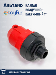 Клапан воздушно вакуумный 1" TYP-1003217 TAYFUR