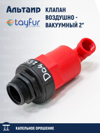 Клапан воздушно вакуумный 2" TYP-2003217 TAYFUR